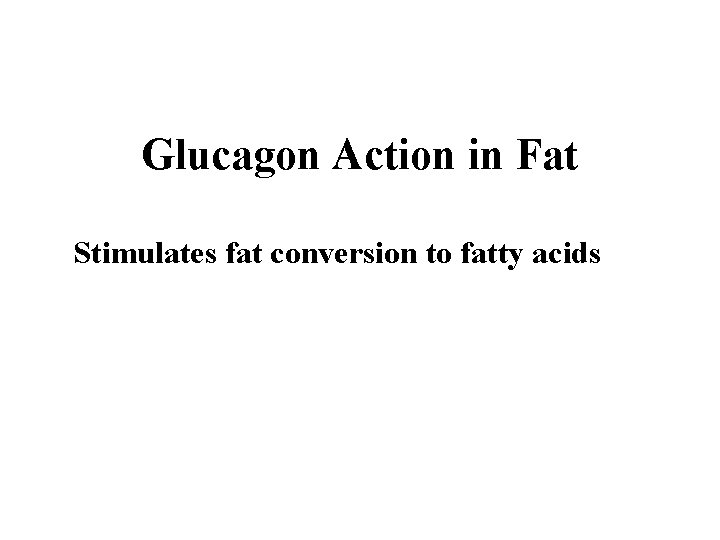 Glucagon Action in Fat Stimulates fat conversion to fatty acids 
