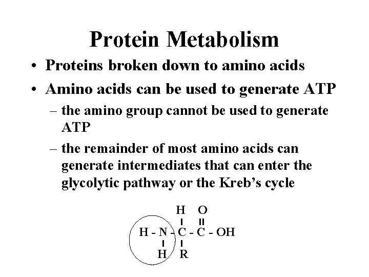 Protein Metabolism • Proteins broken down to amino acids • Amino acids can be
