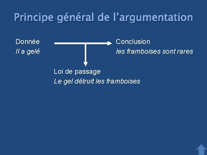 Principe général de l’argumentation Donnée Il a gelé Conclusion les framboises sont rares Loi