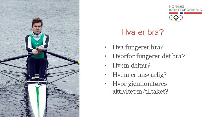 Hva er bra? • • • Hva fungerer bra? Hvorfor fungerer det bra? Hvem