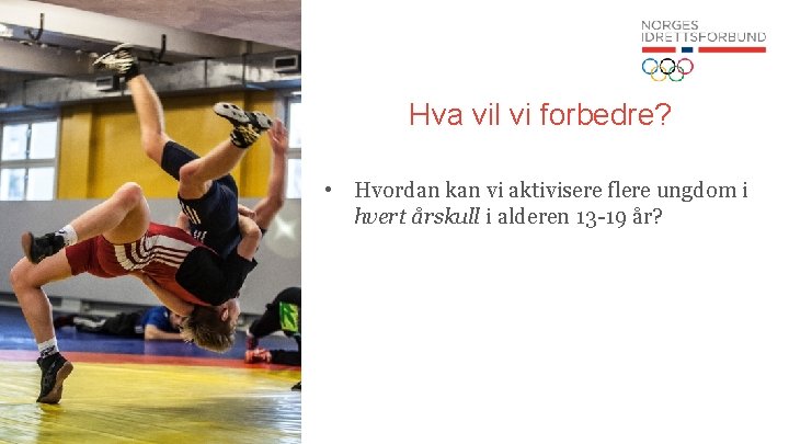 Hva vil vi forbedre? • Hvordan kan vi aktivisere flere ungdom i hvert årskull