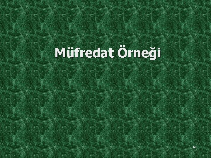 Müfredat Örneği 66 