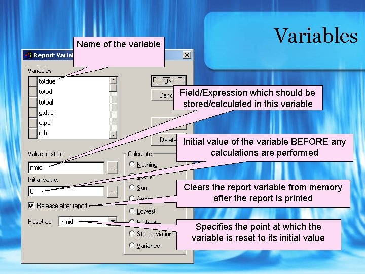 Name of the variable Variables Field/Expression which should be stored/calculated in this variable Initial