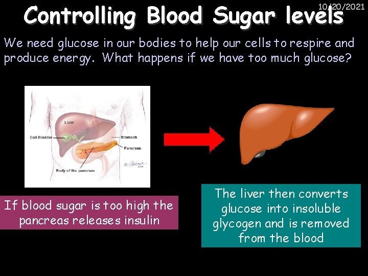 Controlling Blood Sugar levels 10/20/2021 We need glucose in our bodies to help our