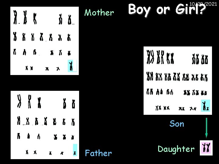 Mother Boy or Girl? 10/20/2021 Son Father Daughter 