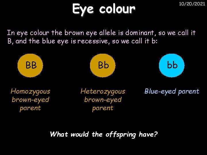 Eye colour 10/20/2021 In eye colour the brown eye allele is dominant, so we