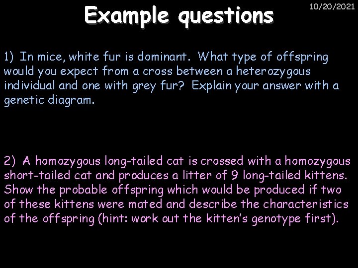 Example questions 10/20/2021 1) In mice, white fur is dominant. What type of offspring