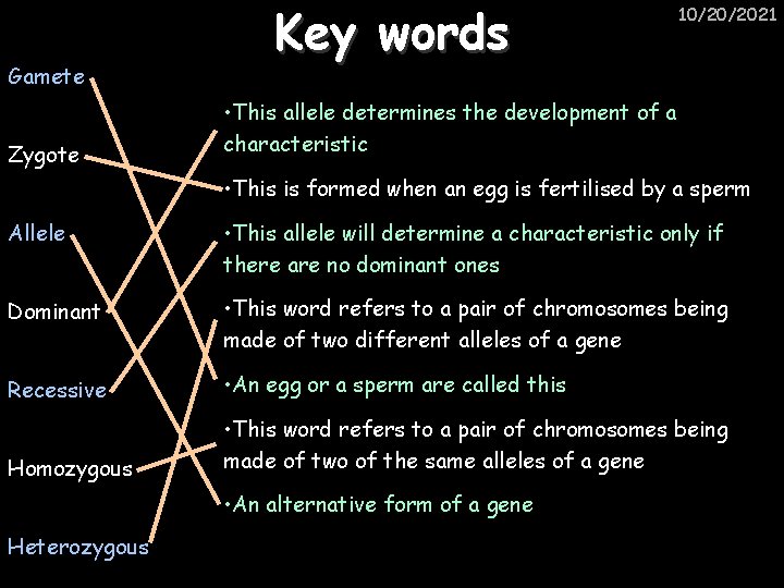 Gamete Zygote Key words 10/20/2021 • This allele determines the development of a characteristic