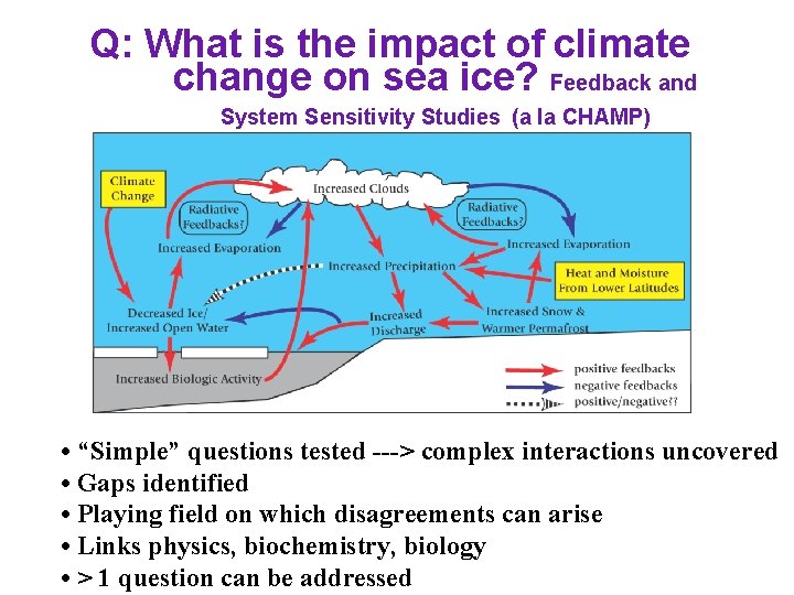 Q: What is the impact of climate change on sea ice? Feedback and System