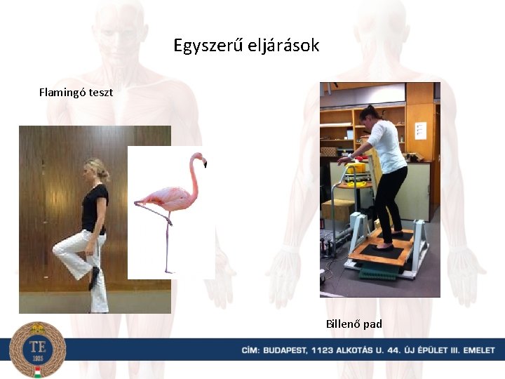 Egyszerű eljárások Flamingó teszt Billenő pad 