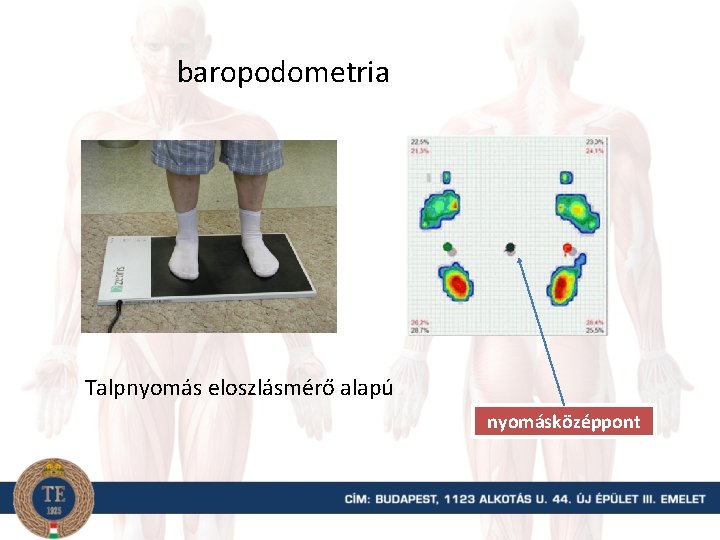 baropodometria Talpnyomás eloszlásmérő alapú nyomásközéppont 