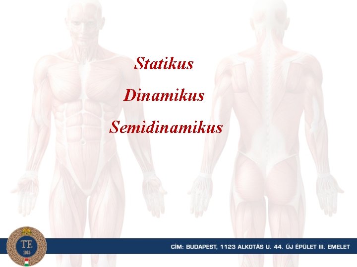 Statikus Dinamikus Semidinamikus 