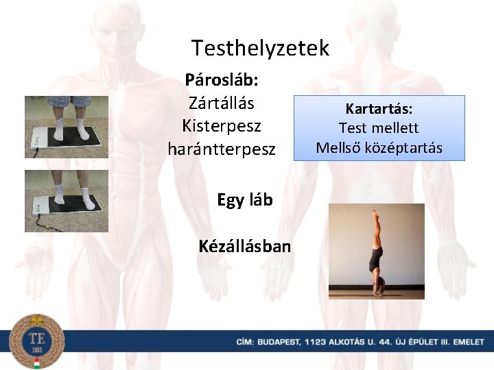 Testhelyzetek Párosláb: Zártállás Kisterpesz harántterpesz Egy láb Kézállásban Kartartás: Test mellett Mellső középtartás 