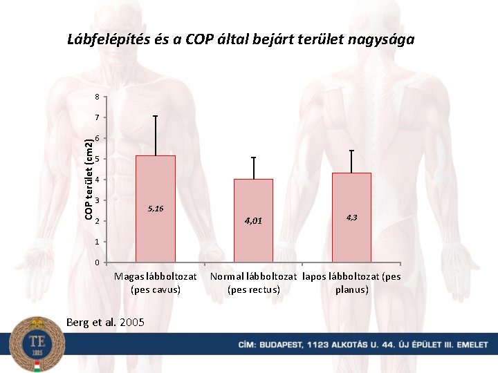 Lábfelépítés és a COP által bejárt terület nagysága 8 COP terület (cm 2) 7