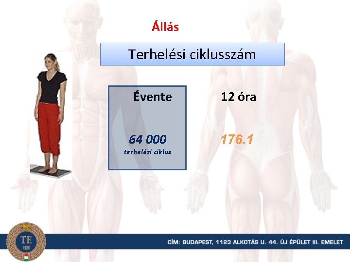 Állás Terhelési ciklusszám Évente 64 000 terhelési ciklus 12 óra 176. 1 