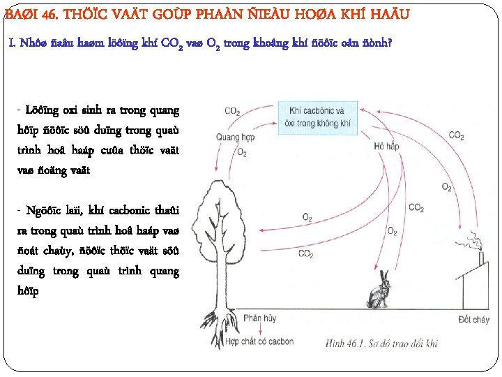 BAØI 46. THÖÏC VAÄT GOÙP PHAÀN ÑIEÀU HOØA KHÍ HAÄU I. Nhôø ñaâu haøm