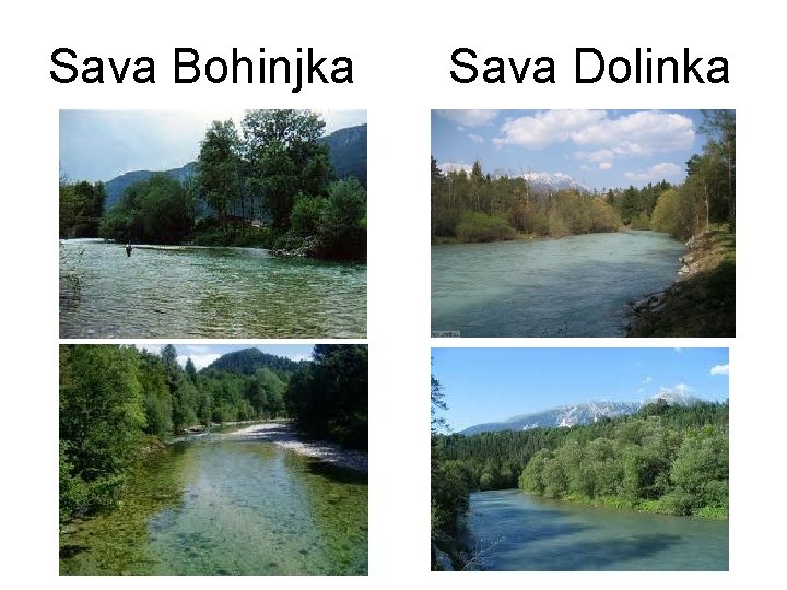 Sava Bohinjka Sava Dolinka 