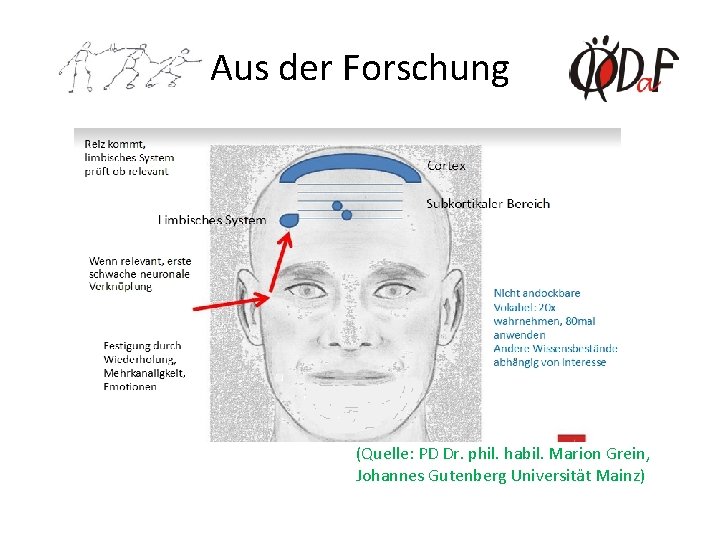 Aus der Forschung (Quelle: PD Dr. phil. habil. Marion Grein, Johannes Gutenberg Universität Mainz)