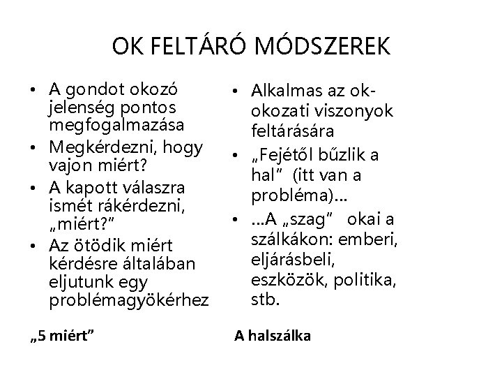 OK FELTÁRÓ MÓDSZEREK • A gondot okozó jelenség pontos megfogalmazása • Megkérdezni, hogy vajon