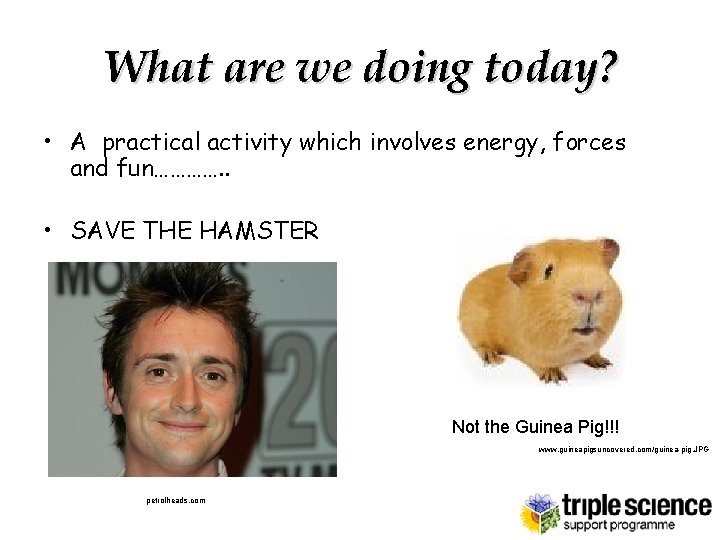 What are we doing today? • A practical activity which involves energy, forces and