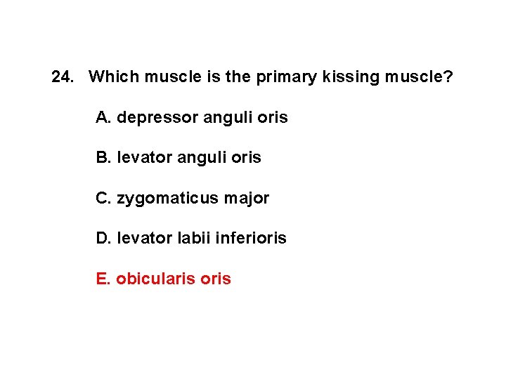 24. Which muscle is the primary kissing muscle? A. depressor anguli oris B. levator