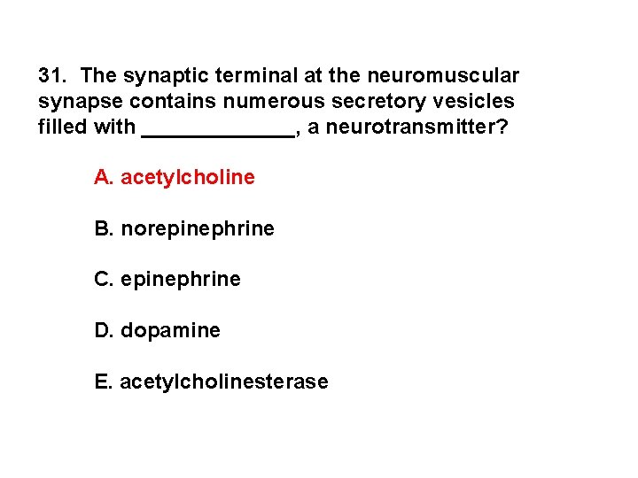 31. The synaptic terminal at the neuromuscular synapse contains numerous secretory vesicles filled with