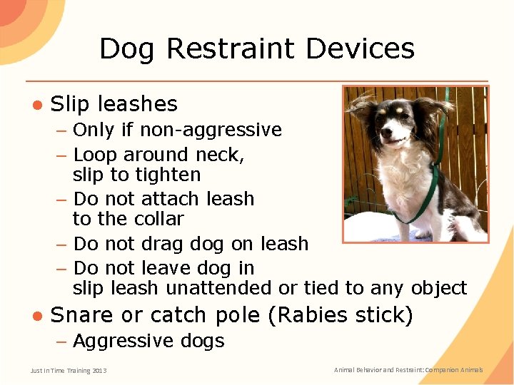 Dog Restraint Devices ● Slip leashes – Only if non-aggressive – Loop around neck,