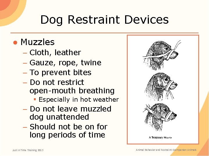 Dog Restraint Devices ● Muzzles – Cloth, leather – Gauze, rope, twine – To