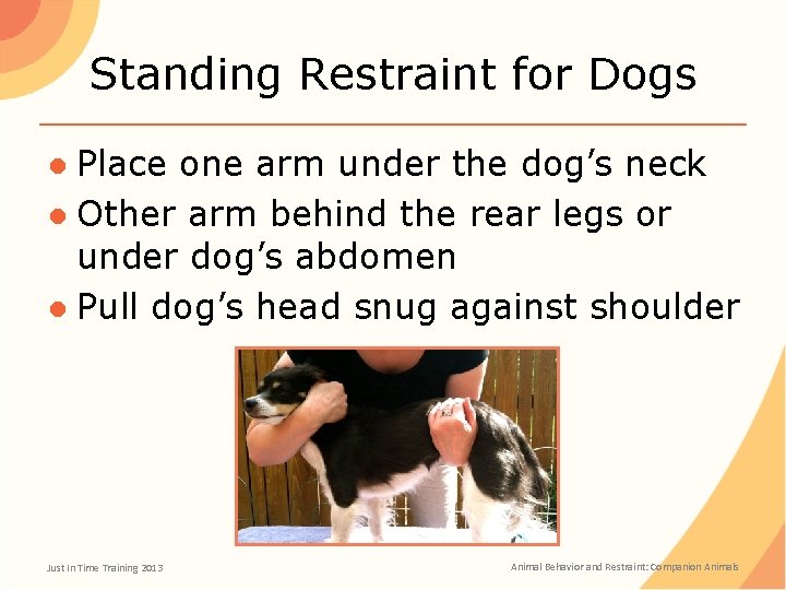 Standing Restraint for Dogs ● Place one arm under the dog’s neck ● Other