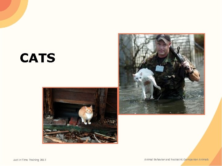 CATS Just In Time Training 2013 Animal Behavior and Restraint: Companion Animals 