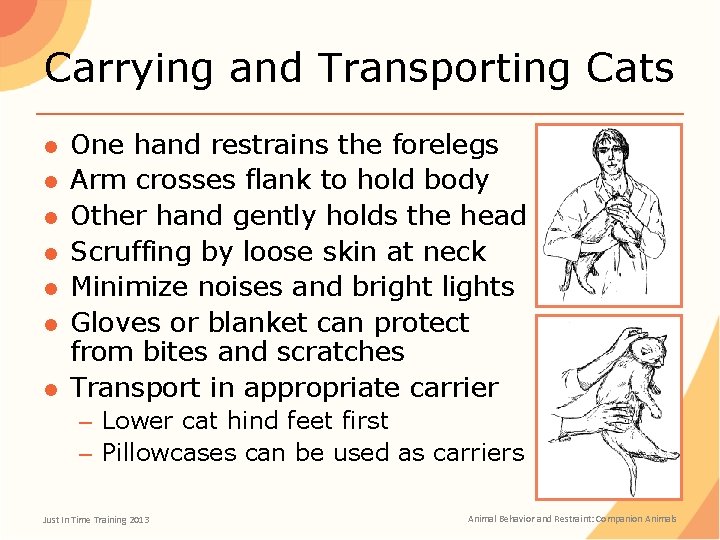 Carrying and Transporting Cats ● ● ● One hand restrains the forelegs Arm crosses