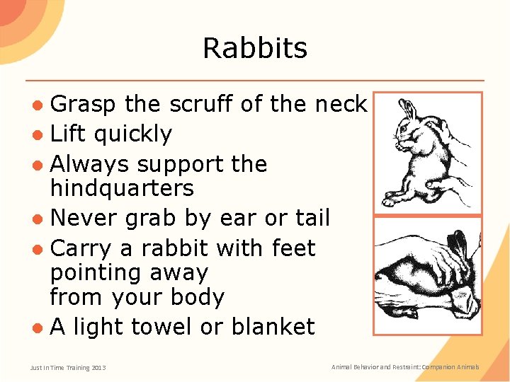 Rabbits ● Grasp the scruff of the neck ● Lift quickly ● Always support