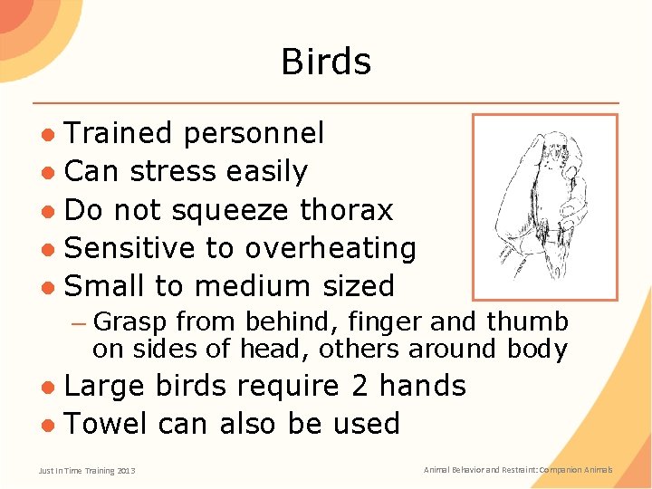 Birds ● Trained personnel ● Can stress easily ● Do not squeeze thorax ●