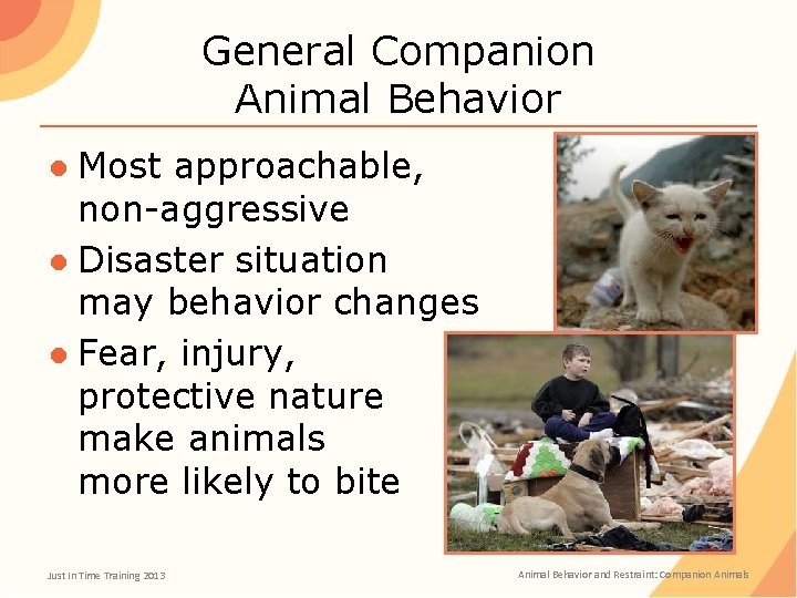 General Companion Animal Behavior ● Most approachable, non-aggressive ● Disaster situation may behavior changes