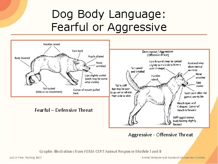 Dog Body Language: Fearful or Aggressive Fearful – Defensive Threat Aggressive - Offensive Threat