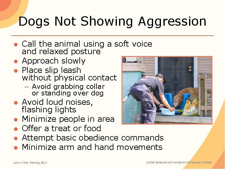 Dogs Not Showing Aggression ● Call the animal using a soft voice and relaxed