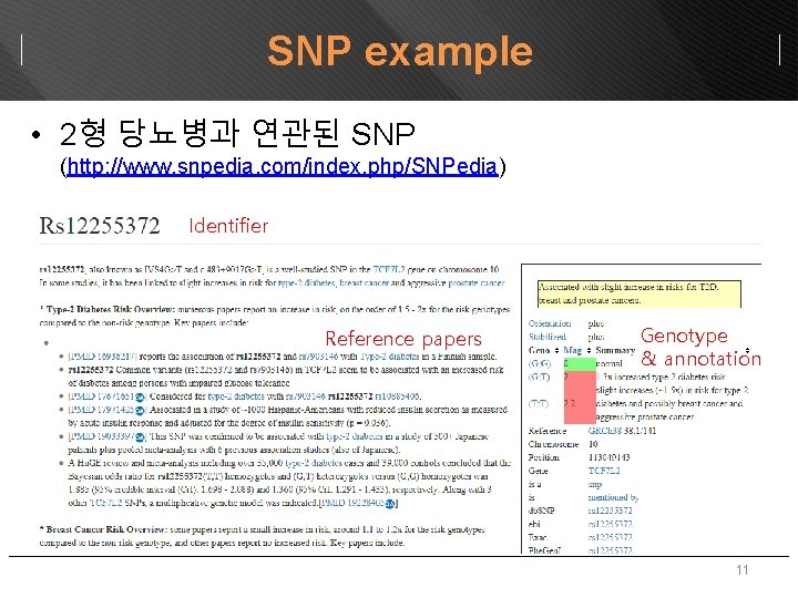 SNP example • 2형 당뇨병과 연관된 SNP (http: //www. snpedia. com/index. php/SNPedia) Identifier Reference