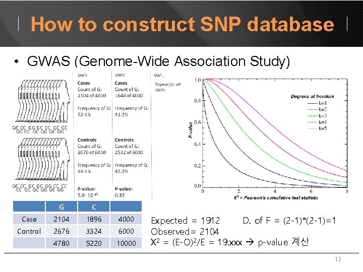 How to construct SNP database • GWAS (Genome-Wide Association Study) G C Case 2104