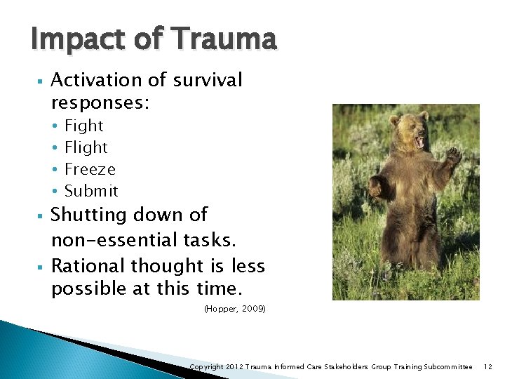 Impact of Trauma § Activation of survival responses: • • § § Fight Flight