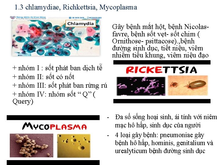 1. 3 chlamydiae, Richkettsia, Mycoplasma Gây bệnh mắt hột, bệnh Nicolasfavre, bệnh sốt vẹt-