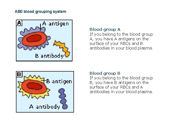 AB 0 blood grouping system Blood group A If you belong to the blood