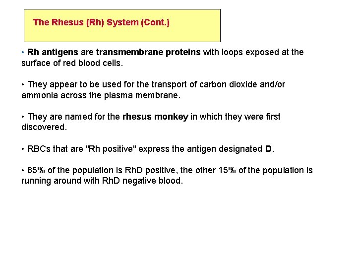 The Rhesus (Rh) System (Cont. ) • Rh antigens are transmembrane proteins with loops