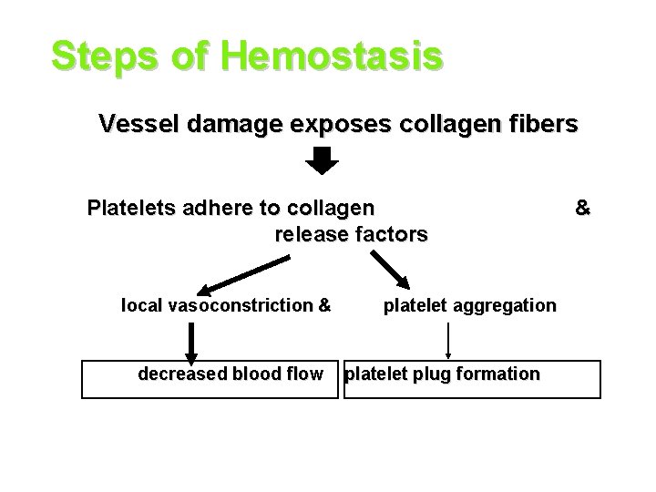 Steps of Hemostasis Vessel damage exposes collagen fibers Platelets adhere to collagen release factors