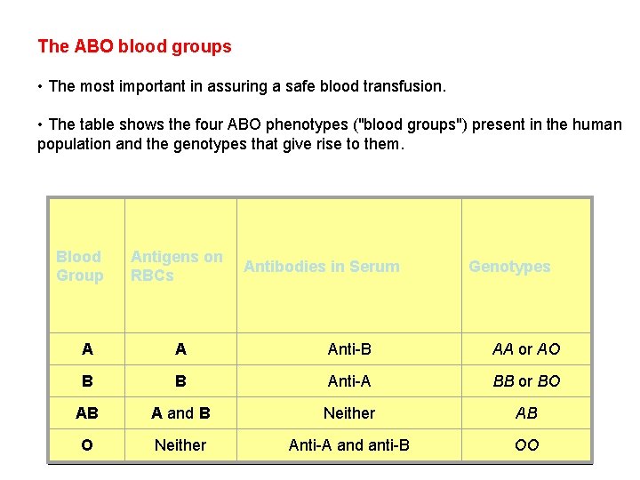 The ABO blood groups • The most important in assuring a safe blood transfusion.