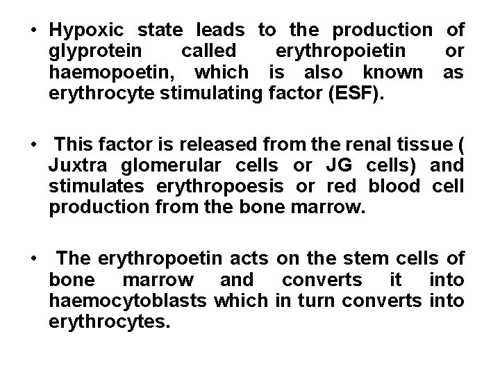  • Hypoxic state leads to the production of glyprotein called erythropoietin or haemopoetin,