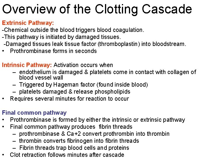 Overview of the Clotting Cascade Extrinsic Pathway: -Chemical outside the blood triggers blood coagulation.