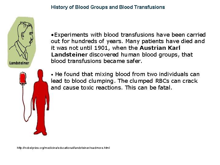 History of Blood Groups and Blood Transfusions • Experiments with blood transfusions have been