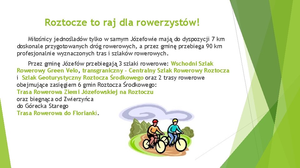 Roztocze to raj dla rowerzystów! Miłośnicy jednośladów tylko w samym Józefowie mają do dyspozycji