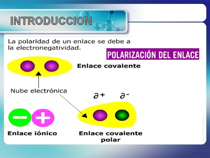 INTRODUCCION 