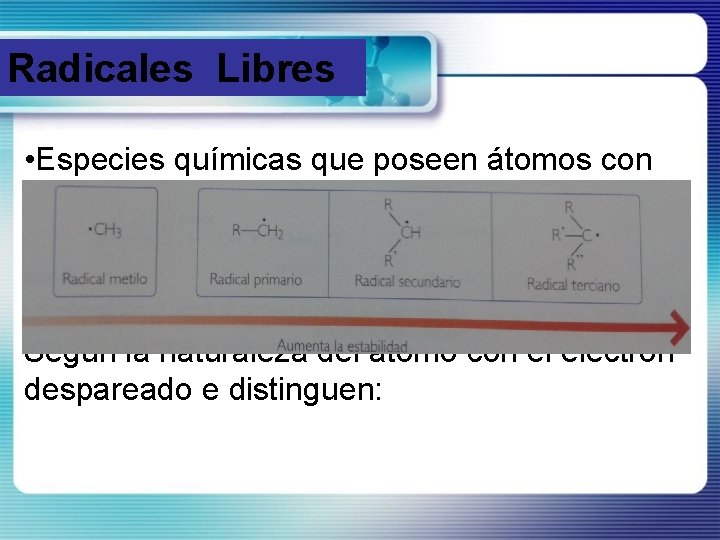 Radicales Libres • Especies químicas que poseen átomos con electrones desapareados. • Se forman